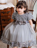 Burgundy Sparkle Puff Sleeve Tulle Ball Gown