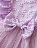 Butterfly Embroidered Flying Sleeve Tulle Dress
