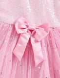 Sequin Bow Multi-layer TullePuff Dress