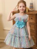 Φόρεμα με χρώμα με παγιέτες Star Tulle Puffy Dress