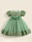 Burgundy Sparkle Puff Sleeve Tulle Ball Gown