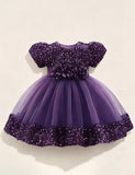 Burgundy Sparkle Puff Sleeve Tulle Ball Gown