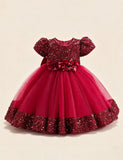 Burgundy Sparkle Puff Sleeve Tulle Ball Gown