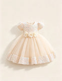 Burgundy Sparkle Puff Sleeve Tulle Ball Gown