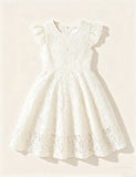 Elegant Solid Lace Dress
