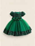 Burgundy Sparkle Puff Sleeve Tulle Ball Gown