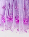 3D Butterfly Wings with Embroidered Floral Tulle Dress