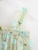 Sweet Flower Embroidered Tulle Princess Dress