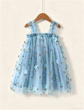 Sweet Flower Embroidered Tulle Princess Dress