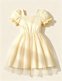 Bow Decorative Splicing Tulle Dress