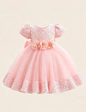 Burgundy Sparkle Puff Sleeve Tulle Ball Gown