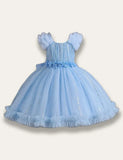 Sparkling Floral Princess Party Dress - Mini Taylor